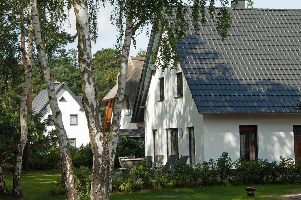 Duenenresidenz Glowe - Ferienhaus Maxi 200 M Zum Strand Exteriör bild